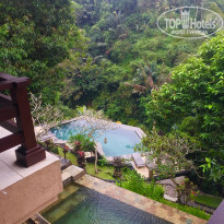 фото из отзыва ID 2047115