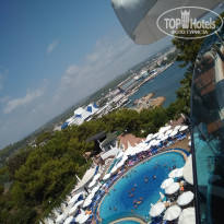 фото из отзыва ID 2047157