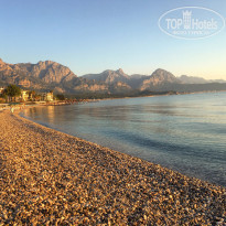 фото из отзыва ID 2047449