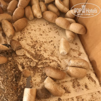 фото из отзыва ID 2047446