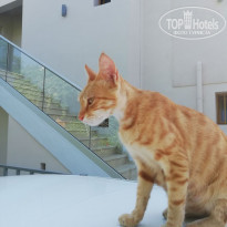 фото из отзыва ID 2047419