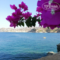 фото из отзыва ID 2047419