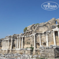 фото из отзыва ID 2047521