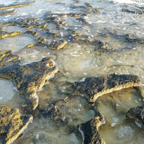 фото из отзыва ID 2047560