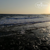 фото из отзыва ID 2047560