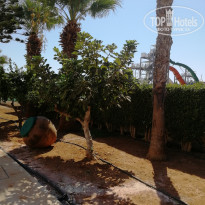 фото из отзыва ID 2047560