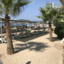 фото из отзыва ID 2047682