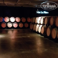 фото из отзыва ID 2047723