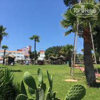 фото из отзыва ID 2047765