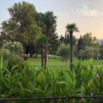 фото из отзыва ID 2047755