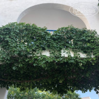 фото из отзыва ID 2047755