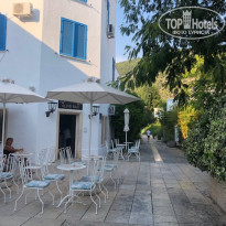 фото из отзыва ID 2047755