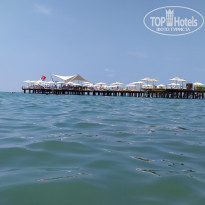 фото из отзыва ID 2047288