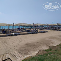 фото из отзыва ID 2047288