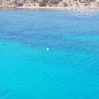 фото из отзыва ID 2047974