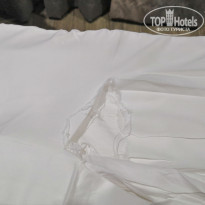 фото из отзыва ID 2047982