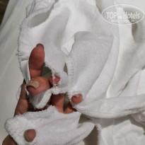 фото из отзыва ID 2047982