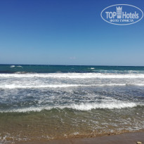 фото из отзыва ID 2048036