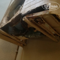 фото из отзыва ID 2048036