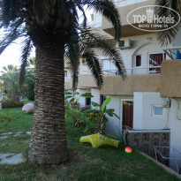 фото из отзыва ID 2048036