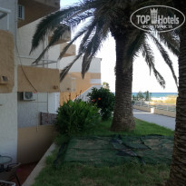 фото из отзыва ID 2048036