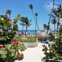 фото из отзыва ID 2048295