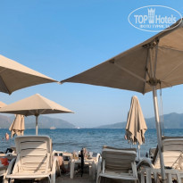 фото из отзыва ID 2048305