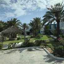 фото из отзыва ID 2048285