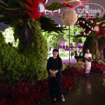 фото из отзыва ID 2048434