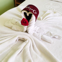 фото из отзыва ID 2048450