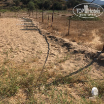 фото из отзыва ID 2048562