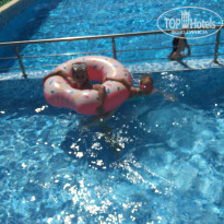 фото из отзыва ID 2048558