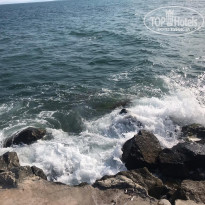 фото из отзыва ID 2048558