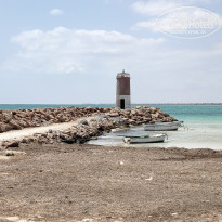 фото из отзыва ID 2048344