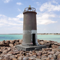 фото из отзыва ID 2048344