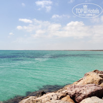 фото из отзыва ID 2048344