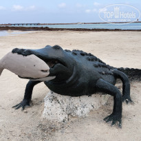 фото из отзыва ID 2048344