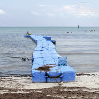 фото из отзыва ID 2048344