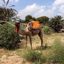 фото из отзыва ID 2048344