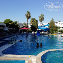 фото из отзыва ID 2048582