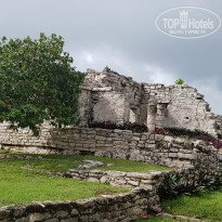 фото из отзыва ID 2048600