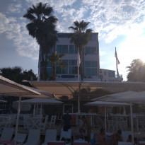 фото из отзыва ID 2048671