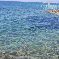 фото из отзыва ID 2048682