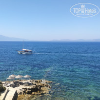 фото из отзыва ID 2048682