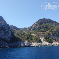 фото из отзыва ID 2048682