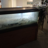 фото из отзыва ID 2048682