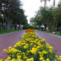 фото из отзыва ID 2048684