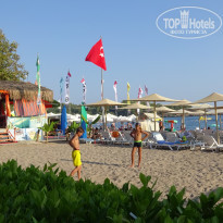 фото из отзыва ID 2048684