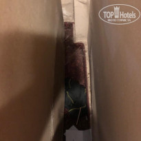 фото из отзыва ID 2048756