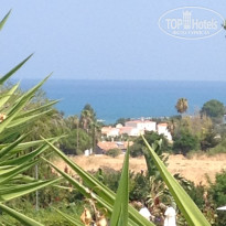 фото из отзыва ID 2048801